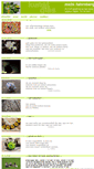 Mobile Screenshot of glasblumen.at